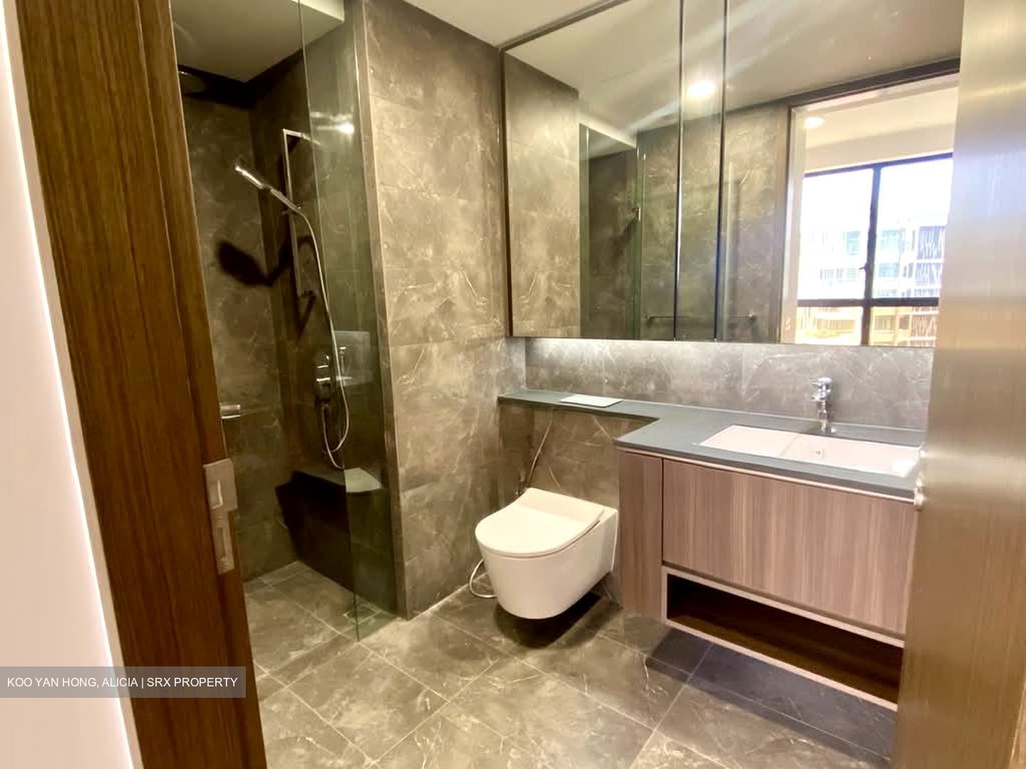 Kopar At Newton (D9), Apartment #534181101